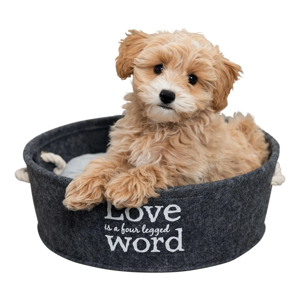 TRIXIE Bettchen Lian Für Hunde Und Katzen 4 TRIXIE Bettchen Lian Für Hunde Und Katzen – Bild 2