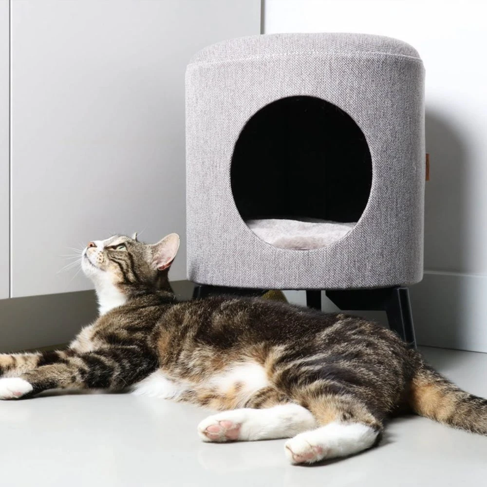 D&D Katzenhaus Louis 5 D&D Katzenhaus Louis – Bild 3