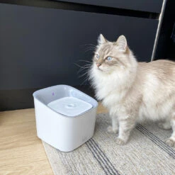 EBI Haustier Trinkbrunnen Manoa 3L Mit Bewegungsmelder -Günstiges Futter Katze Geschäft ebi haustier trinkbrunnen manoa 3l mit bewegungsmelder 1688041874