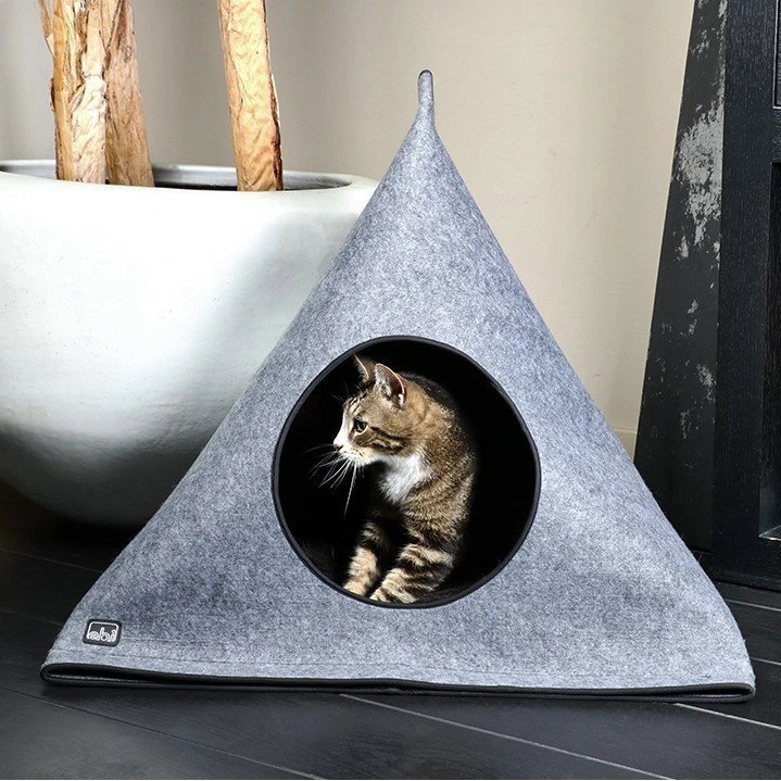 EBI Katzenhaus Hellen 8 EBI Katzenhaus Hellen – Bild 6