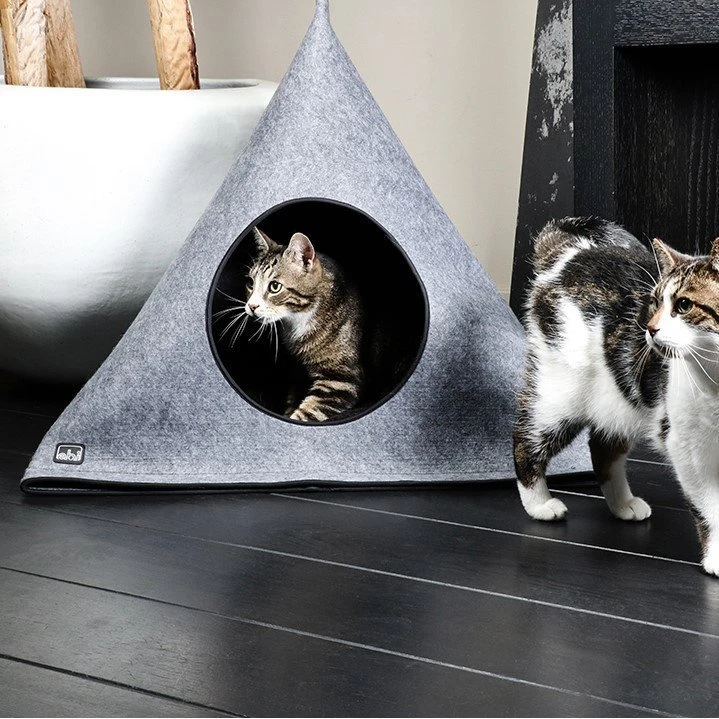 EBI Katzenhaus Hellen 4 EBI Katzenhaus Hellen – Bild 2