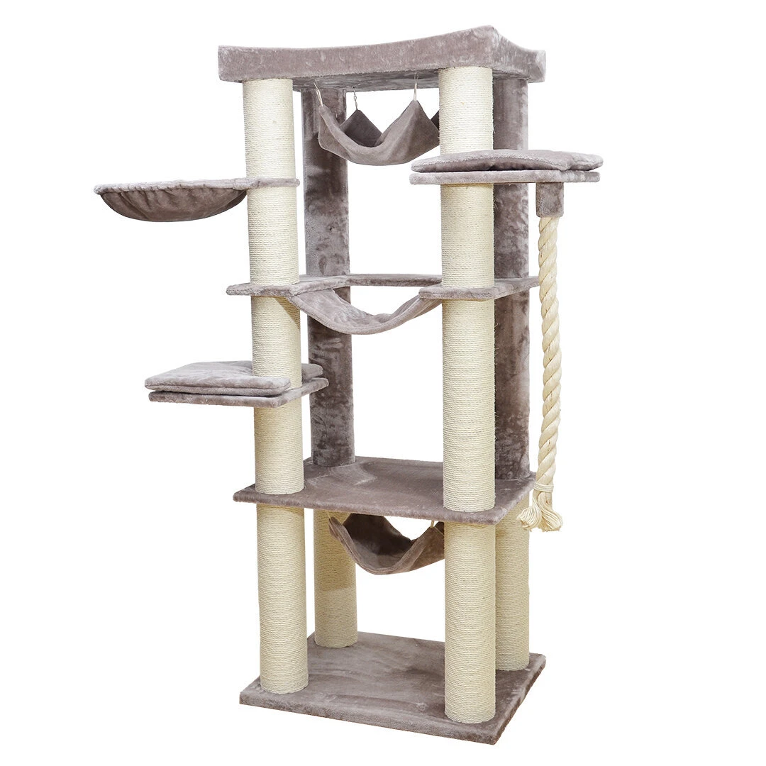 EBI Kratzbaum Cambridge 3 EBI Kratzbaum Cambridge