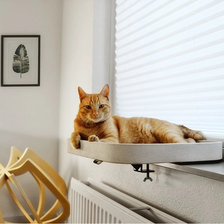 EBI Kyo Fensterbrettkorb Für Katzen 4 EBI Kyo Fensterbrettkorb Für Katzen – Bild 2