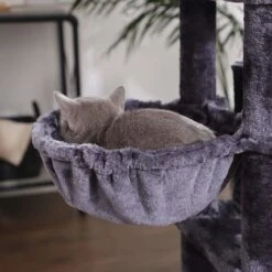 FEANDREA Kratzbaum Groß Mit 3 Katzenhöhlen 25 FEANDREA Kratzbaum Groß Mit 3 Katzenhöhlen -Günstiges Futter Katze Geschäft feandrea kratzbaum gross mit 3 katzenhoehlen 1576670191