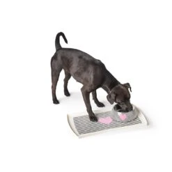 Hunter Napf Melamin Biri -Günstiges Futter Katze Geschäft hunter napf melamin biri 1604565302