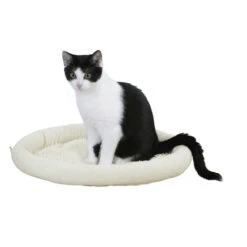 Kerbl Katzen Kuschelbett Sweety -Günstiges Futter Katze Geschäft katzen kuschelbett sweety 1540991369