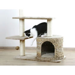 Kerbl Kratzbaum Banana Leaf Jade -Günstiges Futter Katze Geschäft kerb kratzbaum banana leaf jade 1527077329