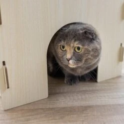 Kerbl Katzenburg Mit Kuscheligem Kissen 11 Kerbl Katzenburg Mit Kuscheligem Kissen -Günstiges Futter Katze Geschäft kerbl katzenburg mit kuscheligem kissen 1658902465