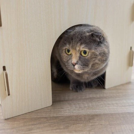 Kerbl Katzenburg Mit Kuscheligem Kissen 6 Kerbl Katzenburg Mit Kuscheligem Kissen – Bild 4