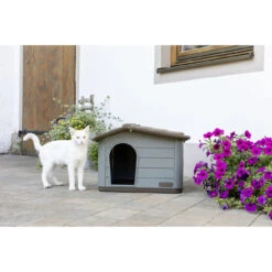Kerbl Katzenhaus Paola Eco -Günstiges Futter Katze Geschäft kerbl katzenhaus paola eco 1662454822