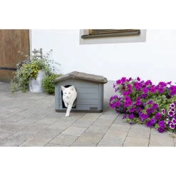 Kerbl Katzenhaus Paola Eco -Günstiges Futter Katze Geschäft kerbl katzenhaus paola eco 1662454830