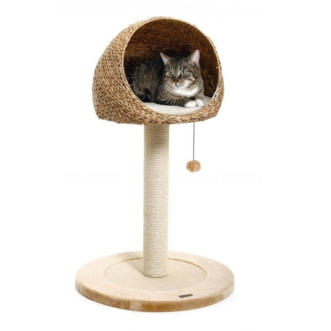 Karlie Kratzbaum Banana Leaf II 3 Karlie Kratzbaum Banana Leaf II