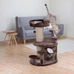 TRIXIE Kratzbaum Für Senioren Emil -Günstiges Futter Katze Geschäft kratzbaum fuer senioren emil 1607598074