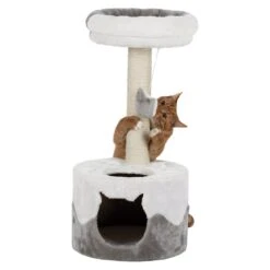 TRIXIE Kratzbaum Nuria 13 TRIXIE Kratzbaum Nuria -Günstiges Futter Katze Geschäft kratzbaum nuria 1504170222