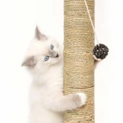 Vesper Kratzbaum V-Double 14 Vesper Kratzbaum V-Double -Günstiges Futter Katze Geschäft kratzbaum vesper v double 1540412644