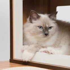 Vesper Kratzbaum V-Double 17 Vesper Kratzbaum V-Double -Günstiges Futter Katze Geschäft kratzbaum vesper v double 1540412653