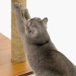 Vesper Kratzbaum V-High Base 18 Vesper Kratzbaum V-High Base -Günstiges Futter Katze Geschäft kratzbaum vesper v high base 1540403575