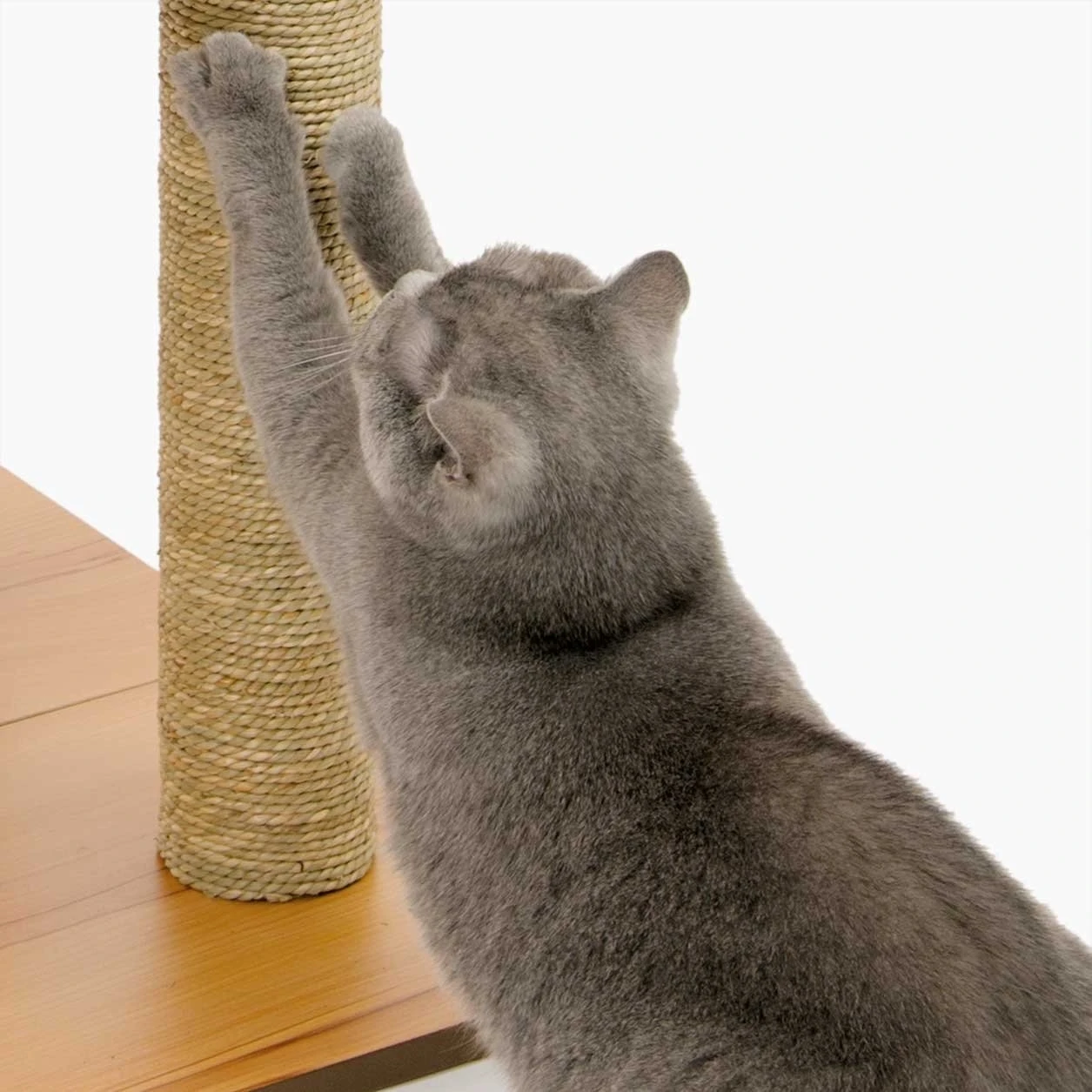 Vesper Kratzbaum V-High Base 8 Vesper Kratzbaum V-High Base – Bild 6