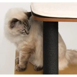 Vesper Kratzbaum V-High Base 22 Vesper Kratzbaum V-High Base -Günstiges Futter Katze Geschäft kratzbaum vesper v high base 1540403588
