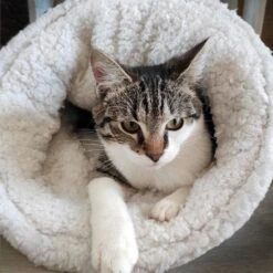 TRIXIE Kuschelsack Paul -Günstiges Futter Katze Geschäft kuschelsack paul 1576239162