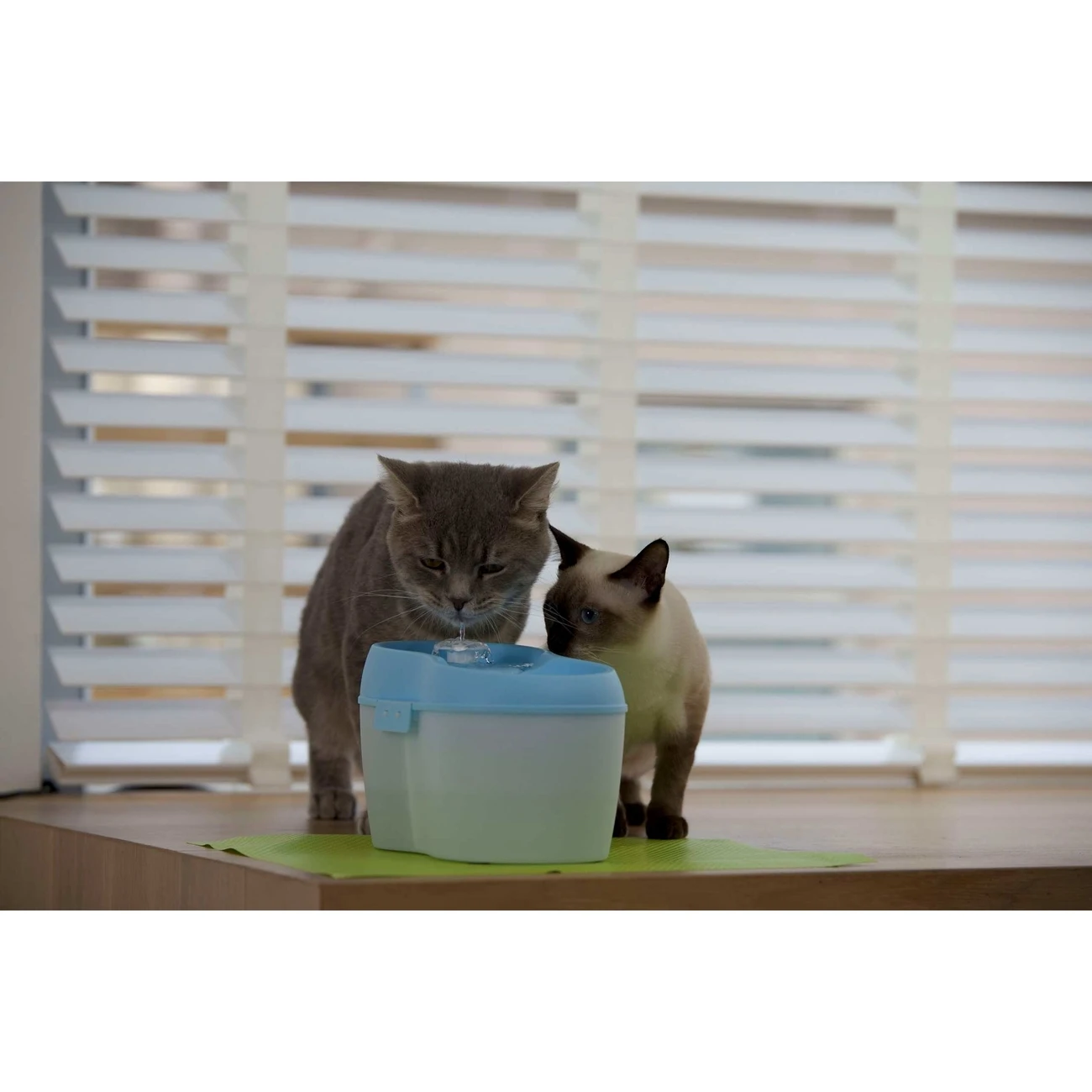 Cat H2O Katzentrinkbrunnen Mit Zahnpflege 8 Cat H2O Katzentrinkbrunnen Mit Zahnpflege – Bild 6