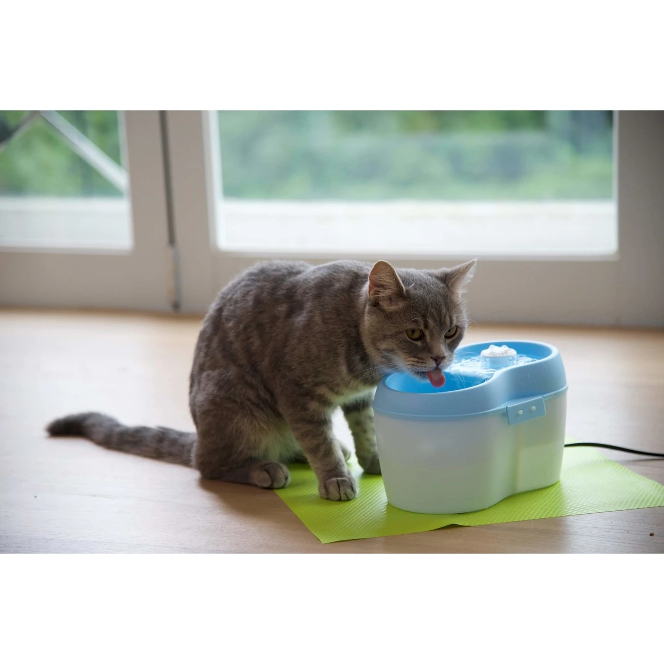 Cat H2O Katzentrinkbrunnen Mit Zahnpflege 9 Cat H2O Katzentrinkbrunnen Mit Zahnpflege – Bild 7