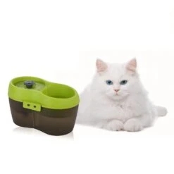 Cat H2O Katzentrinkbrunnen Mit Zahnpflege 21 Cat H2O Katzentrinkbrunnen Mit Zahnpflege -Günstiges Futter Katze Geschäft mycath2o katzenbrunnen trinkbrunnen 1561386540