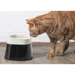 Günstiges Futter Katze Geschäft -Günstiges Futter Katze Geschäft nobby erhoehter trinknapf 1601973507