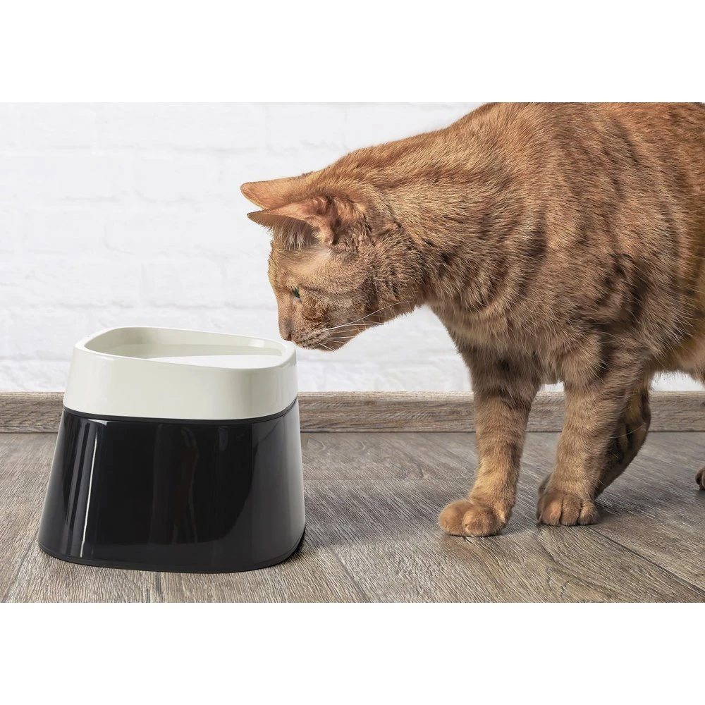 Nobby Erhöhter Trinknapf Für Katzen 3 Nobby Erhöhter Trinknapf Für Katzen – Bild 2