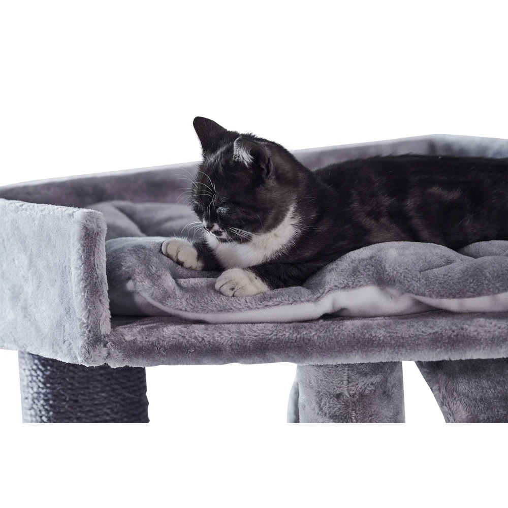 Nobby Kratzbaum ADILE 4 Nobby Kratzbaum ADILE – Bild 2