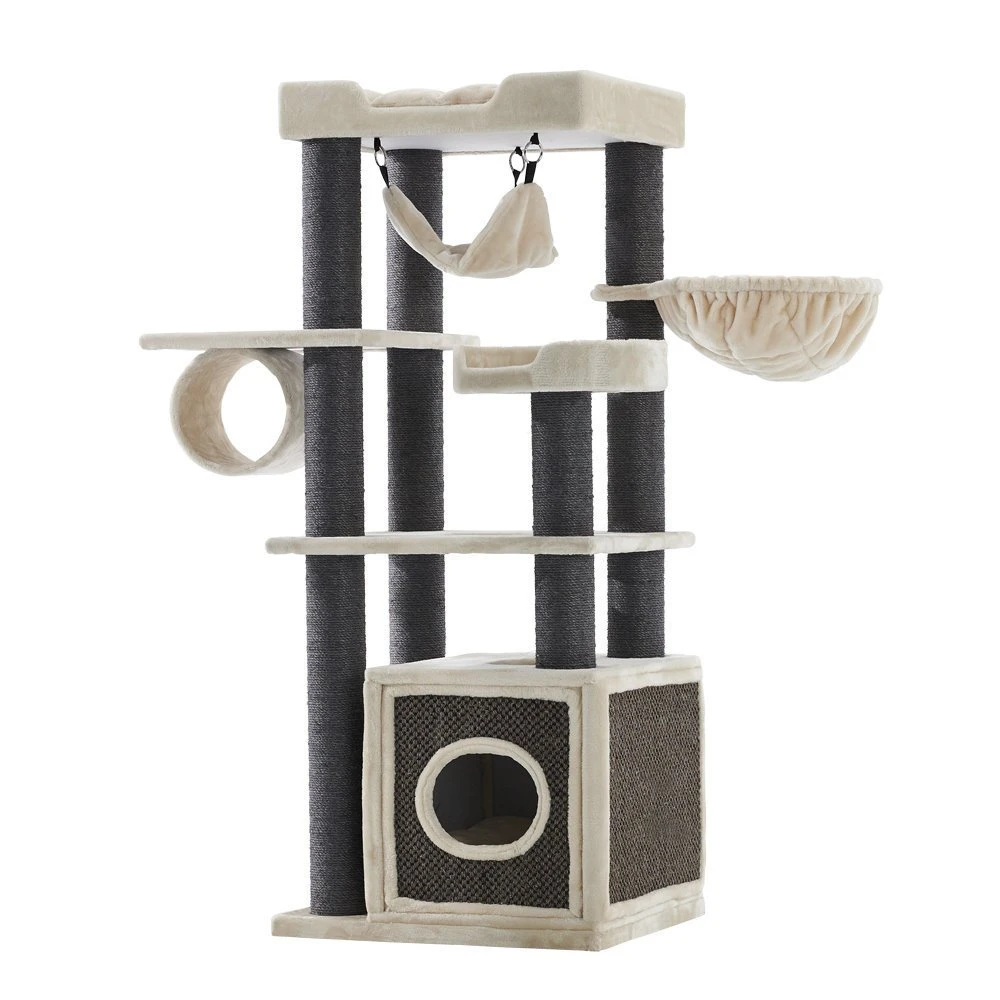 Nobby Kratzbaum Faris 3 Nobby Kratzbaum Faris