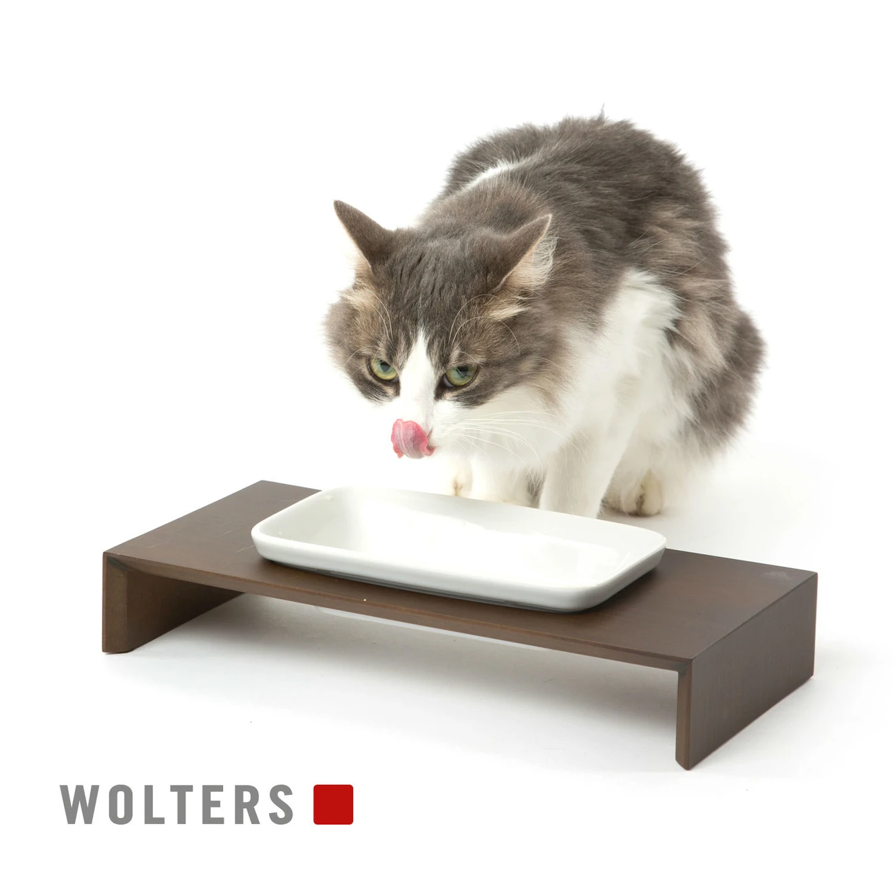 REPLUS Katzennapf Meshidai Siam 5 REPLUS Katzennapf Meshidai Siam – Bild 3