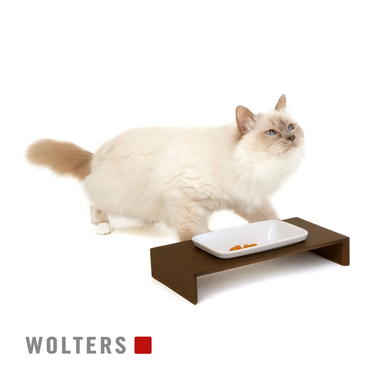 REPLUS Katzennapf Meshidai Siam 7 REPLUS Katzennapf Meshidai Siam – Bild 5