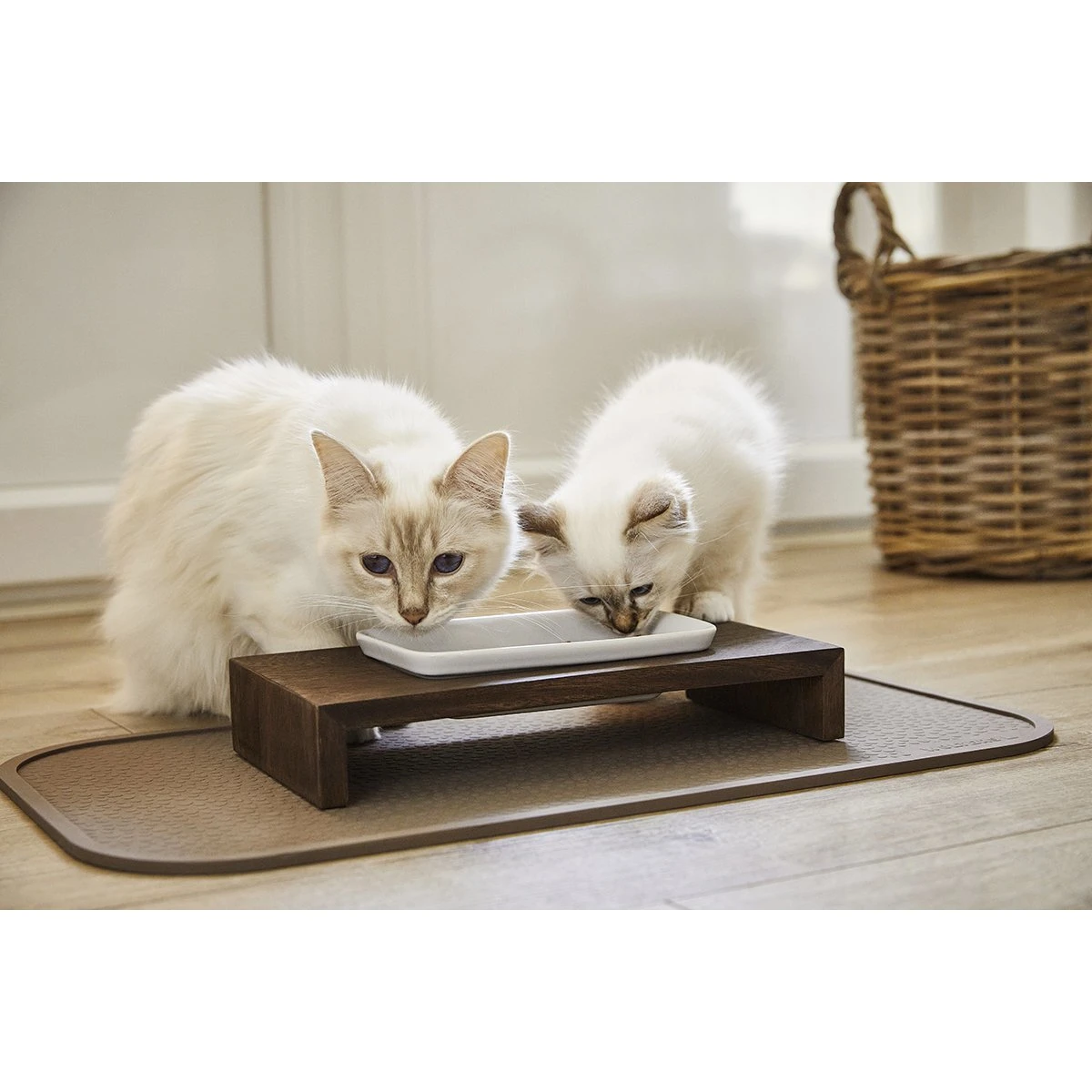 REPLUS Katzennapf Meshidai Siam 4 REPLUS Katzennapf Meshidai Siam – Bild 2