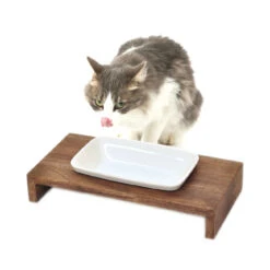 REPLUS Katzennapf Siam True -Günstiges Futter Katze Geschäft replus katzennapf siam true 1504120737