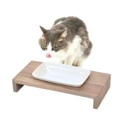 REPLUS Katzennapf Siam True -Günstiges Futter Katze Geschäft replus katzennapf siam true 1504120753