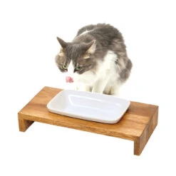 REPLUS Katzennapf Siam True -Günstiges Futter Katze Geschäft replus katzennapf siam true 1504120766