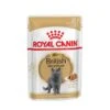 Royal Canin British Shorthair Adult Katzenfutter Nass Für Britisch Kurzhaar 2 Royal Canin British Shorthair Adult Katzenfutter Nass Für Britisch Kurzhaar -Günstiges Futter Katze Geschäft royal canin british shorthair adult katzenfutter nass fuer britisch kurzhaar 1565697462