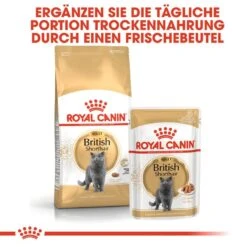 Royal Canin British Shorthair Adult Katzenfutter Nass Für Britisch Kurzhaar -Günstiges Futter Katze Geschäft royal canin british shorthair adult katzenfutter nass fuer britisch kurzhaar 1565697468