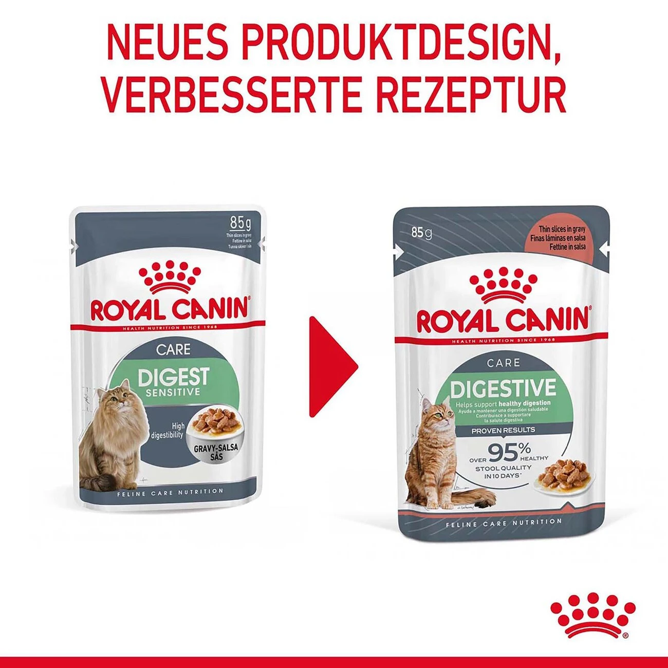 Royal Canin Digestive Nassfutter Für Katzen Mit Empfindlicher Verdauung 4 Royal Canin Digestive Nassfutter Für Katzen Mit Empfindlicher Verdauung – Bild 2