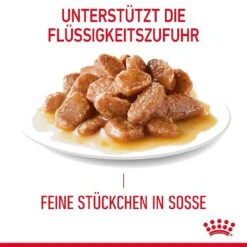 Royal Canin Digestive Nassfutter Für Katzen Mit Empfindlicher Verdauung 16 Royal Canin Digestive Nassfutter Für Katzen Mit Empfindlicher Verdauung -Günstiges Futter Katze Geschäft royal canin digest sensitive nassfutter fuer katzen mit empfindlicher verdauung 1679650389