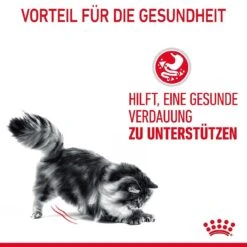 Royal Canin Digestive Nassfutter Für Katzen Mit Empfindlicher Verdauung 22 Royal Canin Digestive Nassfutter Für Katzen Mit Empfindlicher Verdauung -Günstiges Futter Katze Geschäft royal canin digest sensitive nassfutter fuer katzen mit empfindlicher verdauung 1679650419