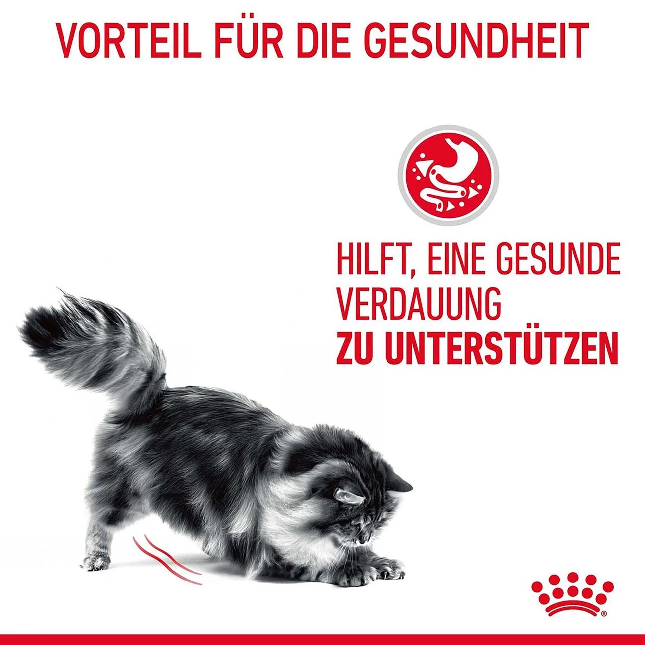 Royal Canin Digestive Nassfutter Für Katzen Mit Empfindlicher Verdauung 12 Royal Canin Digestive Nassfutter Für Katzen Mit Empfindlicher Verdauung – Bild 10