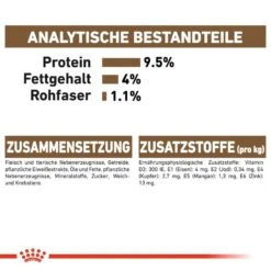 Royal Canin Feline 12+ In Soße Oder Gelee Nassfutter Für ältere Katzen -Günstiges Futter Katze Geschäft royal canin feline 12 in sosse oder gelee nassfutter fuer aeltere katzen 1565867911