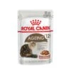 Royal Canin Feline 12+ In Soße Oder Gelee Nassfutter Für ältere Katzen 1 Royal Canin Feline 12+ In Soße Oder Gelee Nassfutter Für ältere Katzen -Günstiges Futter Katze Geschäft royal canin feline 12 in sosse oder gelee nassfutter fuer aeltere katzen 1565867913