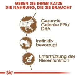 Royal Canin Feline 12+ In Soße Oder Gelee Nassfutter Für ältere Katzen -Günstiges Futter Katze Geschäft royal canin feline 12 in sosse oder gelee nassfutter fuer aeltere katzen 1565867919