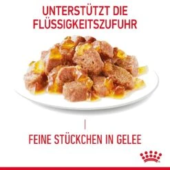 Royal Canin Hairball Care Katzenfutter Nass Gegen Haarballen 14 Royal Canin Hairball Care Katzenfutter Nass Gegen Haarballen -Günstiges Futter Katze Geschäft royal canin hairball care katzenfutter nass gegen haarballen 1679651358