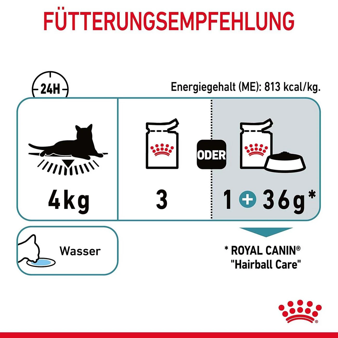 Royal Canin Hairball Care Katzenfutter Nass Gegen Haarballen 7 Royal Canin Hairball Care Katzenfutter Nass Gegen Haarballen – Bild 5