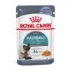 Royal Canin Hairball Care Katzenfutter Nass Gegen Haarballen -Günstiges Futter Katze Geschäft royal canin hairball care katzenfutter nass gegen haarballen 1679651377