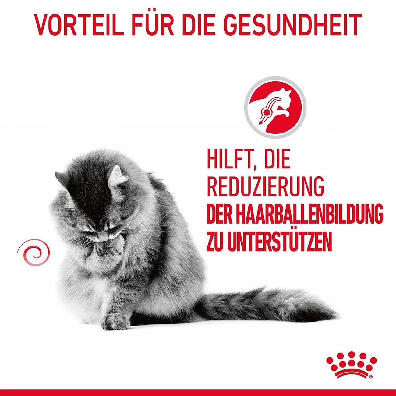 Royal Canin Hairball Care Katzenfutter Nass Gegen Haarballen 4 Royal Canin Hairball Care Katzenfutter Nass Gegen Haarballen – Bild 2